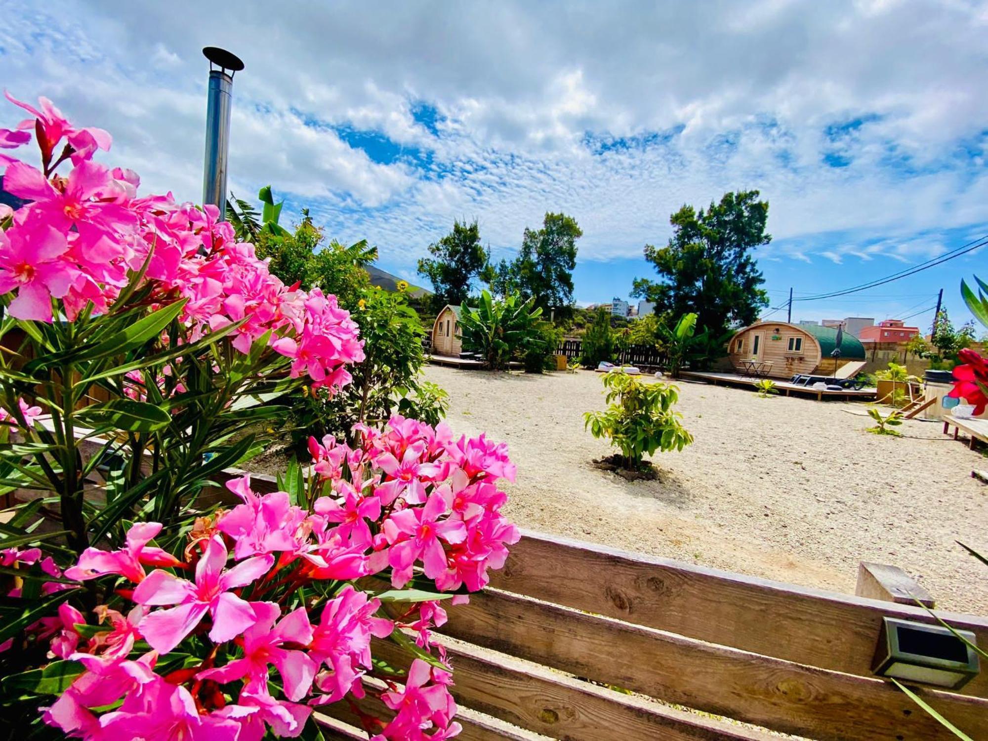 Hotel Privado Serendipia Natural Club Exclusive Buzanada Kültér fotó